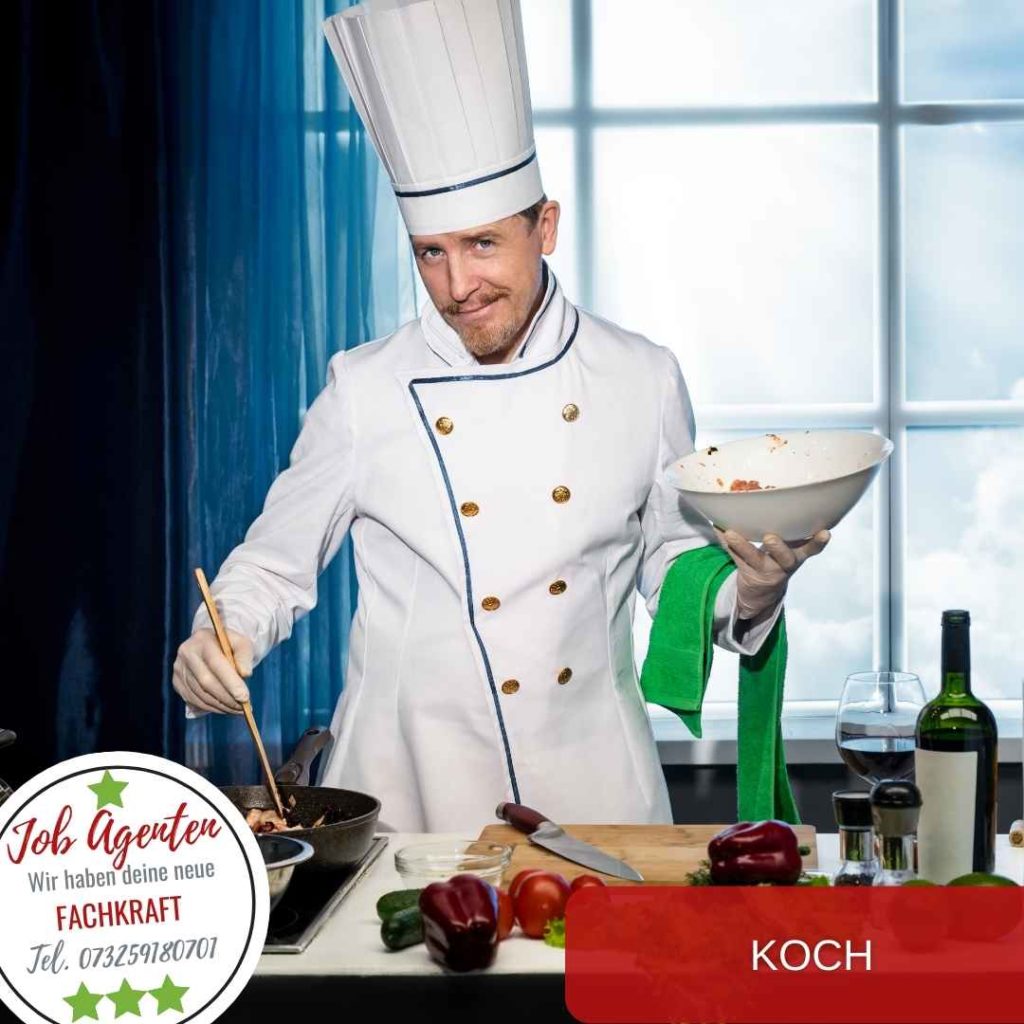 koch stellenangebot